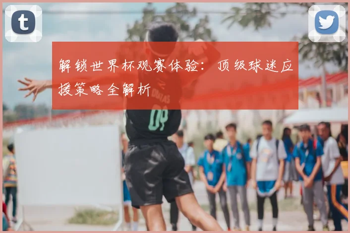 解锁世界杯观赛体验:顶级球迷应援策略全解析